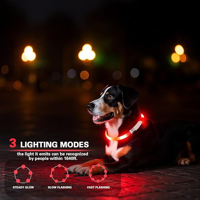 Light Up Dog Collar, Rechargeable Glowing Dog Collar, Light Dog Collar for Night Walking with 1640 FT of Visibility - Brightest LED Dog Collar Light, 3 Flashing Modes, Keeps Your Pets Safe in The Dark