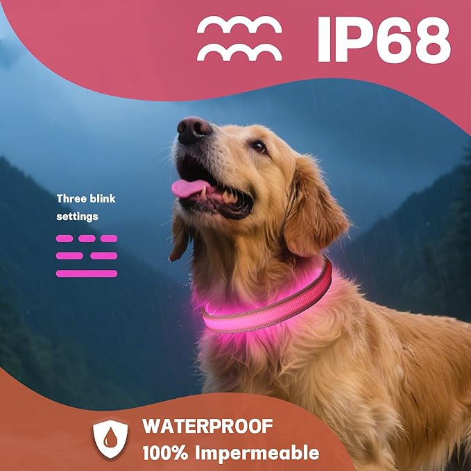 DOGWONG LED Dog Collar - Heavy Duty Light up Collars - Rechargeable Waterproof - Lighted Dog Collar for Night Walking, Hiking, Camping(Pink,L)