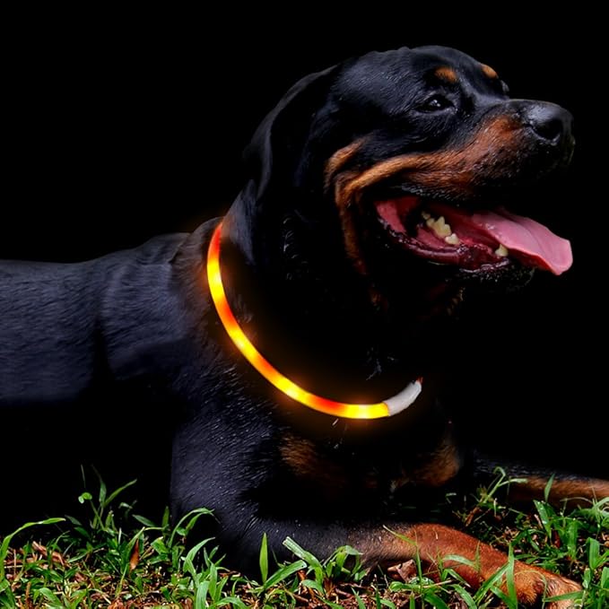 LED Dog Collar,USB Rechargeable Glowing Dog Collars, Light Up Collar Improved Pet Safety &Visibility at Night, 3 Flashing Modes,Water-Resistant LED Lighted Fits for Small Medium Large Dogs