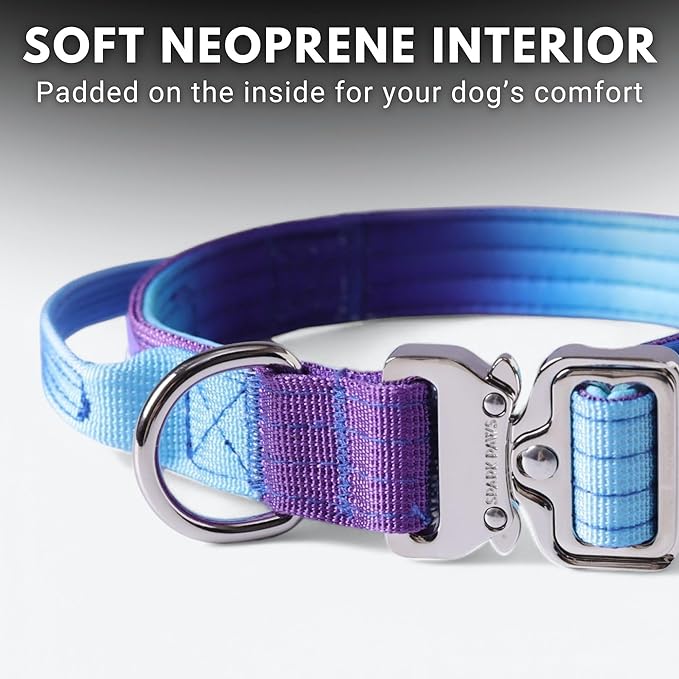 Spark Paws Tactical Dog Collar - Heavy Duty, Premium Quality, Thick and Durable for Large and Medium Dogs - 90's Retro - XS - 1"