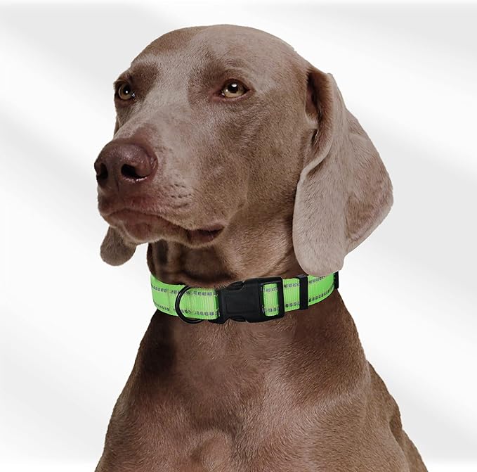Mile High Life Reflective Dog Collar, Basic Dog Collars Adjustable Quick Release, Soft Nylon Pet Collar with Metal D-Ring for Small Medium Large Dogs (Lime, M Neck13-17")