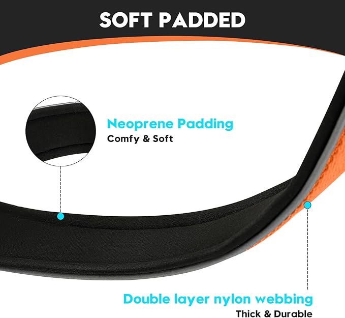 Dog Collar for Small Medium Large Dogs, Reflective, Adjustable Heavy Duty Dog Collar, Soft Neoprene Padded Comfortable for Walking (Orange, M)