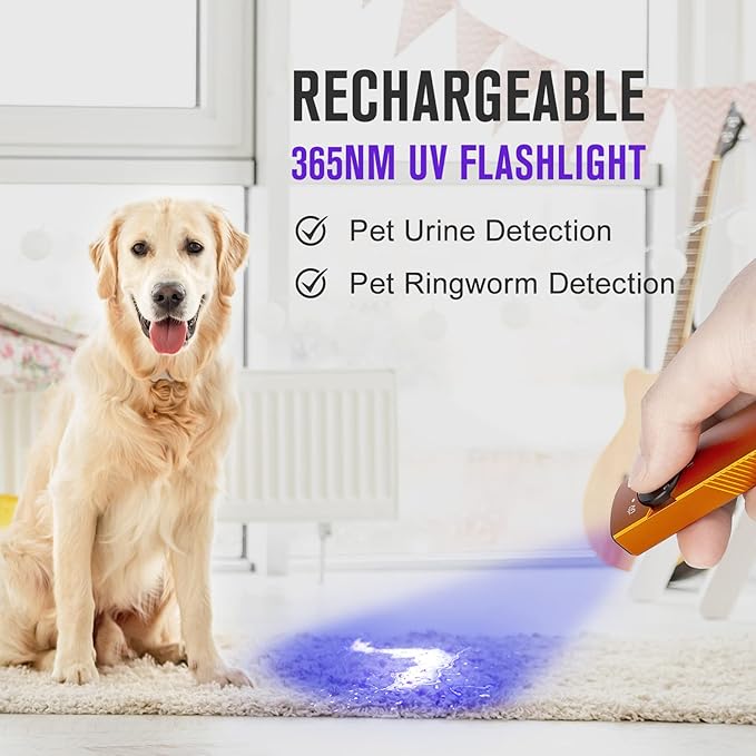 OLIGHT Arkfeld UV Rechargeable EDC Flashlight, 1000 Lumens White LED and 365nm Blacklight Combo for Outdoors, Emergency, Working, Pet Urine Detection (Orange NW)