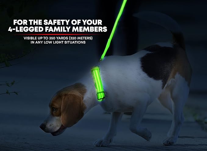 ILLUMISEEN LED Dog Collar USB Rechargeable - Bright & High Visibility Lighted Glow Collar for Pet Night Walking - Weatherproof, in 6 Colors & 6 Sizes (Green X-Large)