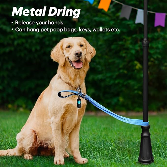 4 Ft LED Dog Leash, Rechargeable Light Up, Waterproof, Glow In The Dark, Nylon Reflective With Padded Handle For Small, Medium, Large Pets