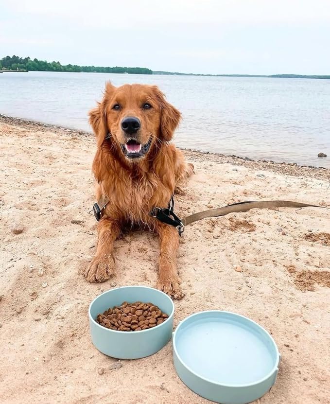 Barkin??Trails Travel Dog Bowls, Portable Outdoor Water, BPA-Free Water Bowl Set, Food Grade Plastic Dog Travel Bowl, Dog Camping Essentials, Travel Container