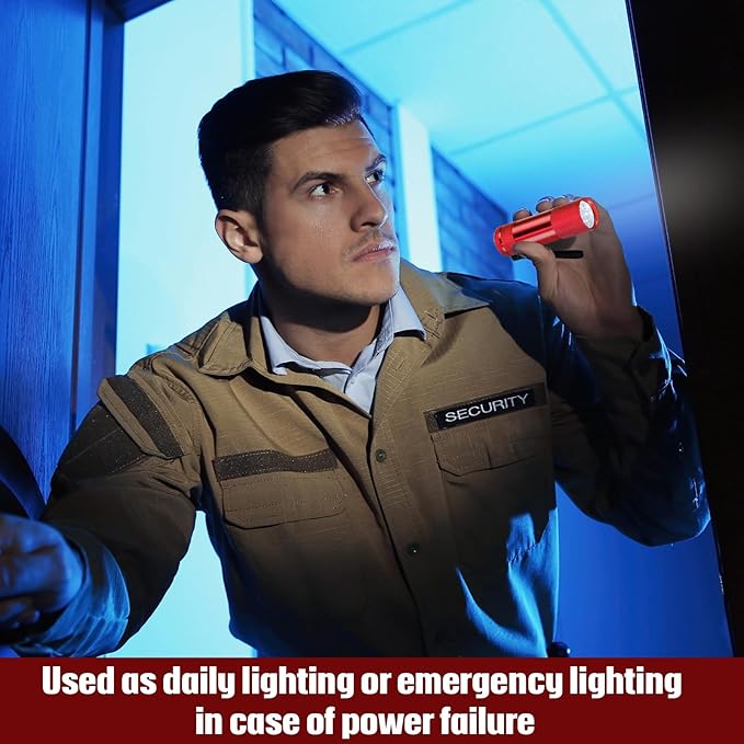 VIHOSE 12 Pcs Mini Flashlights Bulk, Bright Aluminum Handheld Flash Lights with Lanyard, Small LED Flashlights for Kids Night Reading Emergency Hurricane Camping Hiking Party Favors(Red)