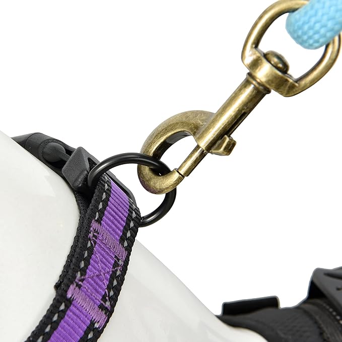 Mile High Life Dog Collar | Nylon Reflective Dog Collars | Light Weight Puppy Collars | Purple Dog Collars for Small Dogs (Purple, X-Small)
