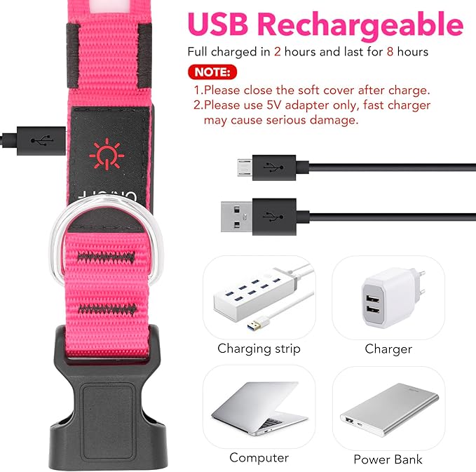 Vizpet LED Dog Collar, Light Up Dog Collar Adjustable USB Rechargeable Super Bright Safety Light Glowing Collars for Dogs (Large, Pink)