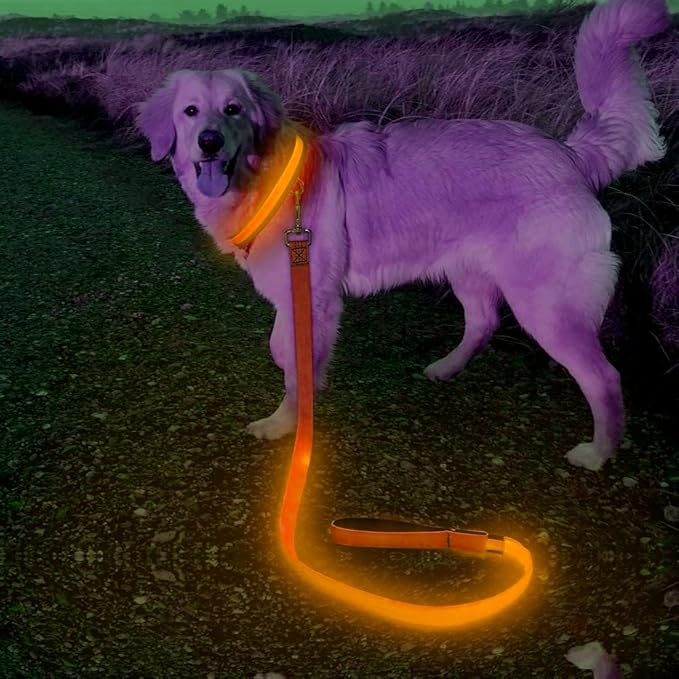 Candofly LED Dog Leash Rechargeable, 4 Ft Glow in The Dark Light Up Dog Leash, Nylon Reflective Dog Rope with Light for Small Medium Large Dogs (Orange)