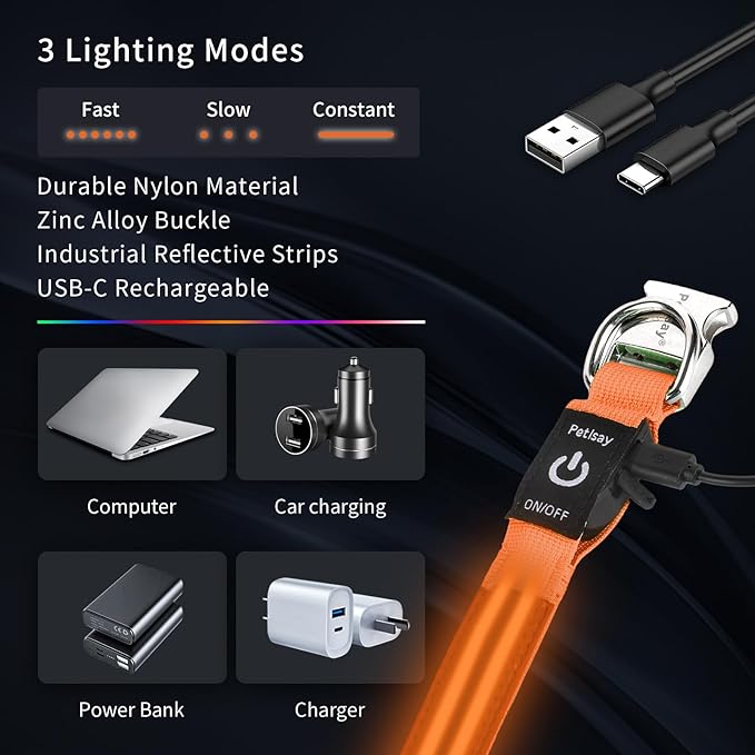 LED Dog Collar with Metal Buckle - USB Rechargeable Glow Collar for Dogs, Waterproof Light Up Dog Collar w/Reflective Strips - Adjustable Night Safety Collars by PetIsay(Orange, Small)
