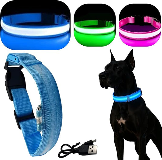Light Up Dog Collar – Reflective, Adjustable & Rechargeable Electronic Glow Pet Collars – Bright, Comfortable, High Visibility LED Dog Collar for Night Safety, Outdoor Walk & Flashing Fun, Blue, Small