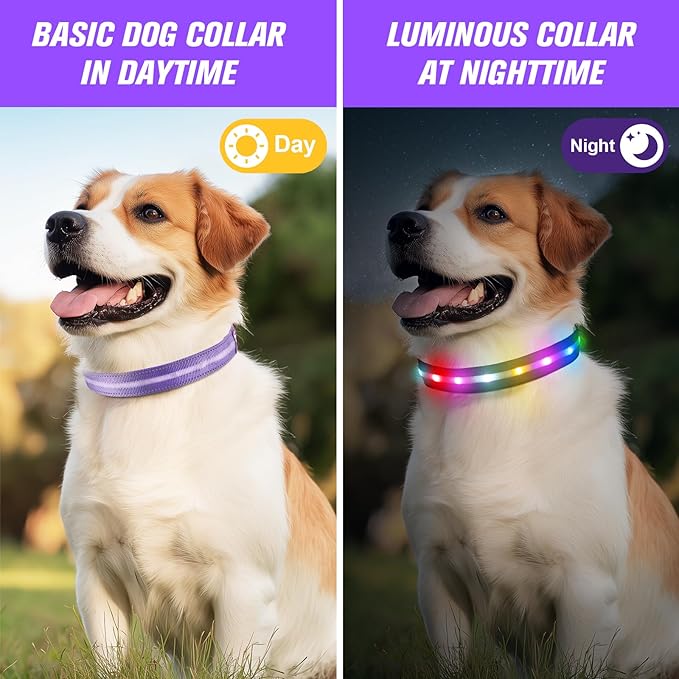 LED Dog Collar, Light Up Dog Collar, USB Rechargeable - Brightest Dog Lights for Night Walking, 6 Light Modes, Adjustable for Dog Safety(Large, Purple)