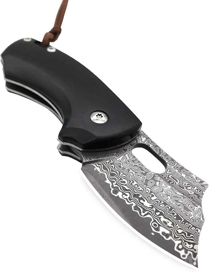 ALBATROSS Premium Folding Pocket Knife - EDC Mini VG10 Damascus Steel with 2" Blade - Ebony Wood Handle - Compact Outdoor Camping Knife with Gift Box - HGDK024