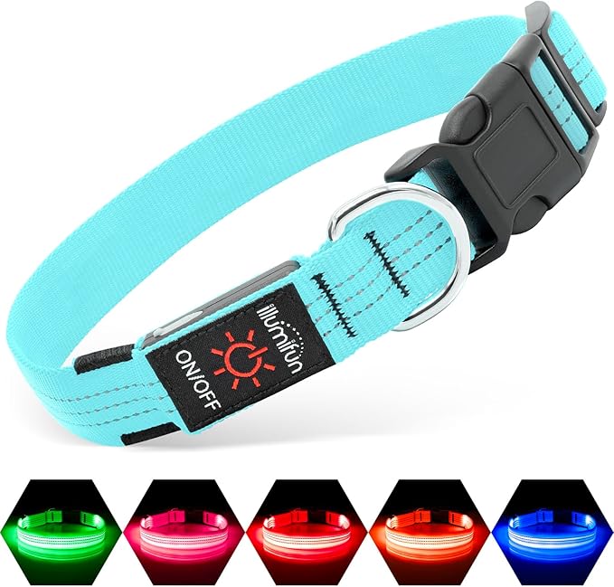 Illumifun Light Up Dog Collar, USB Rechargeable LED Dog Collar, Adjustable Reflective Lighted Pet Collar for Night Walking Camping (Blue?? Large)