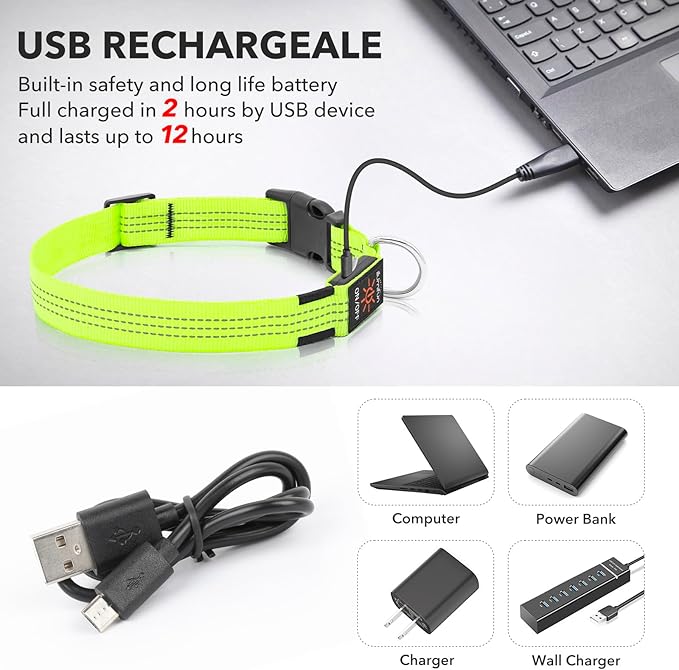 Illumifun Light Up Dog Collar, USB Rechargeable LED Dog Collar, Reflective Flash Pet Lighted Collar for Nighttime Walking (Green?? Large)