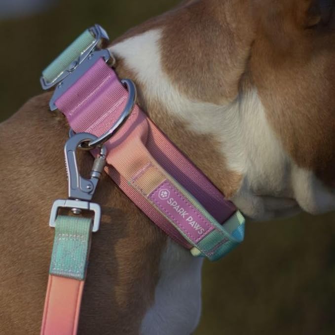 Spark Paws Tactical Dog Collar - Heavy Duty, Premium Quality, Thick and Durable for Large and Medium Dogs - Pastel Icing - XS - 1"