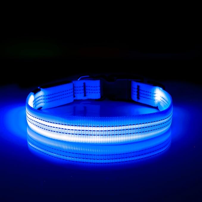 Illumifun LED Dog Collar, Reflective Light Up Collars for Small Dog, USB Rechargeable Pet Collar Light for Dogs Walking Camping (Blue?? Small)