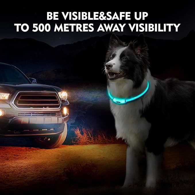 Lighted Dog Collar, Rechargeable 7 Colors Changing Light Up Dog Collar, IP67 Waterproof LED Collar Glow in The Dark, Make Pet Visible and Safety for Night Walking,Outdoor, for All Dogs