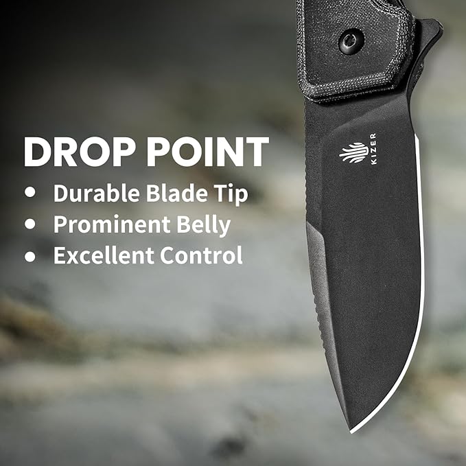 Kizer Nice Guy Pocket Folding Knife, 2.84" Nitro V Blade, Lightweight Sharp Camping and Hiking Knife, Comfort Micarta Handle, Liner Lock Flipper Knife V3011A3