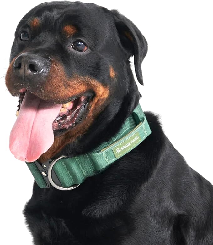Spark Paws Tactical Dog Collar - Heavy Duty, Premium Quality, Thick and Durable for Large and Medium Dogs - Solid Green - L - 1.5"