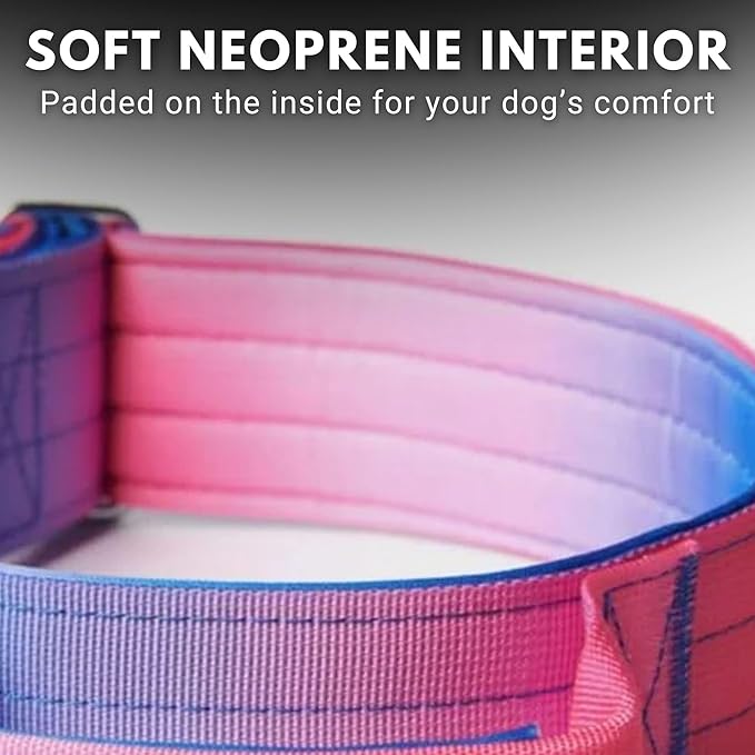 Tactical Dog Collar with Handle - Premium Quality Collar, Robust and Durable Design for Large, Strong Breeds - Pitbulls, Labradors, GSD - Snow Cone - M