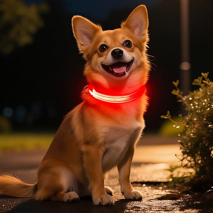 Light Up Dog Collar for Small Dogs - Rechargeable Puppy LED Collar Glowing Dog Lights for Night Walking (X-Small, Red)
