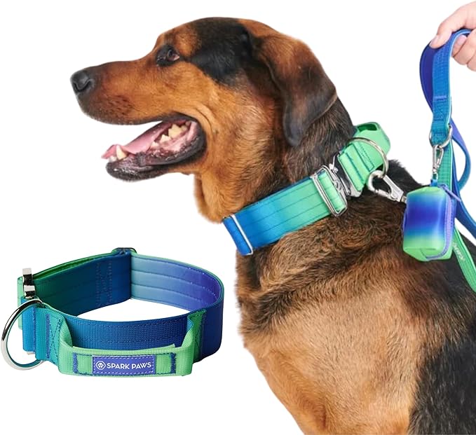 Spark Paws Tactical Dog Collar - Heavy Duty, Premium Quality, Thick and Durable for Large and Medium Dogs - Lime Wave - M