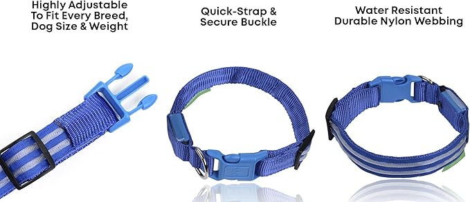 ILLUMISEEN LED Dog Collar USB Rechargeable - Bright & High Visibility Lighted Glow Collar for Pet Night Walking - Weatherproof, in 6 Colors & 6 Sizes (Blue Small)