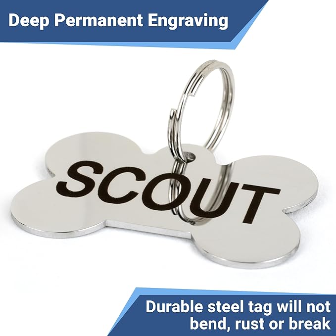 GoTags Stainless Steel Pet ID Tags, Personalized Dog Tags and Cat Tags, up to 8 Lines of Custom Text, Engraved on Both Sides, in Bone, Round, Heart, Bowtie and More (Heart, Small (Pack of 1))