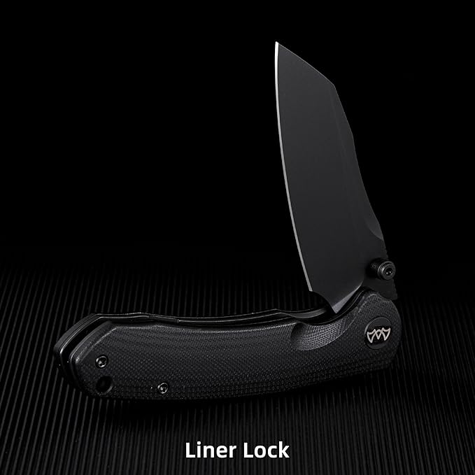 Folding Pocket Knife, 3.35" 14C28N Blade G10 Handle EDC Knife with Liner Lock, Small Pocket Knife with Clip for Men, Sharp Camping Hiking Hunting Survival Knives (Black)