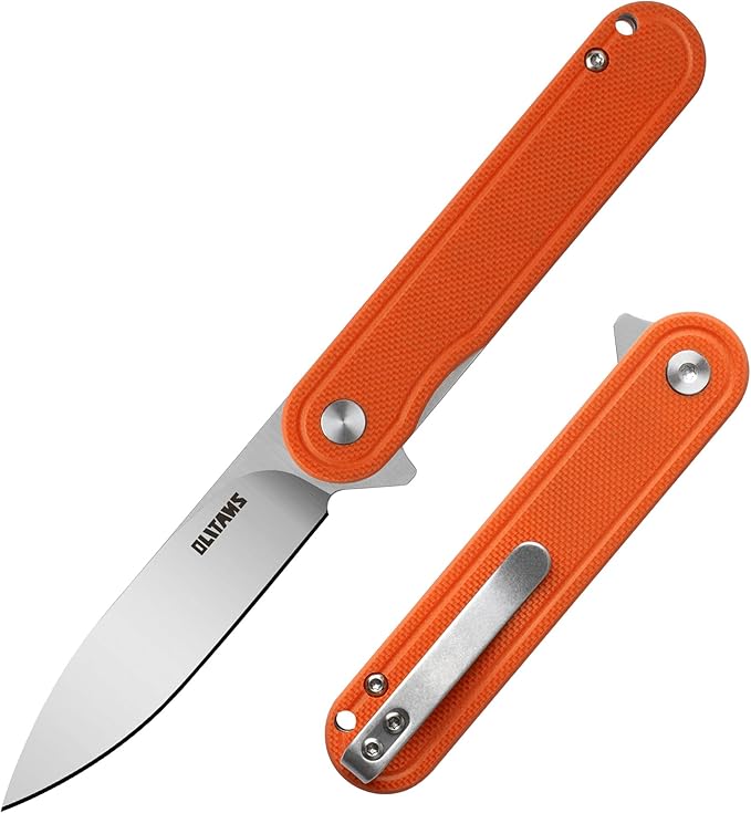 G040 Pocket Knife, 2.75'' D2 Steel Blade G10 handle, Small EDC Knife with Pocket Clip for Men Women, 2.1oz