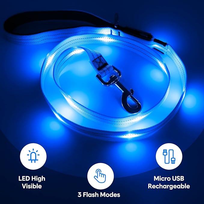 4 Ft LED Dog Leash, Rechargeable Light Up, Waterproof, Glow In The Dark, Nylon Reflective With Padded Handle For Small, Medium, Large Pets