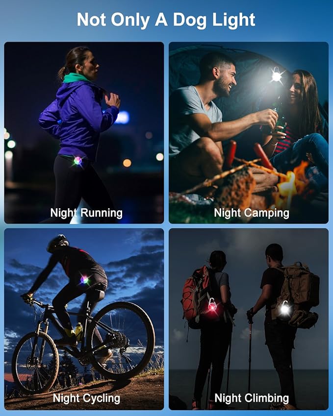 2 Pack Dog Collar Light, Rechargeable Dog Lights for Night Walking Clip On, 4 Modes Waterproof LED Collar Charm for Nighttime Running, Cycling, Pet Camping Essentials (White)