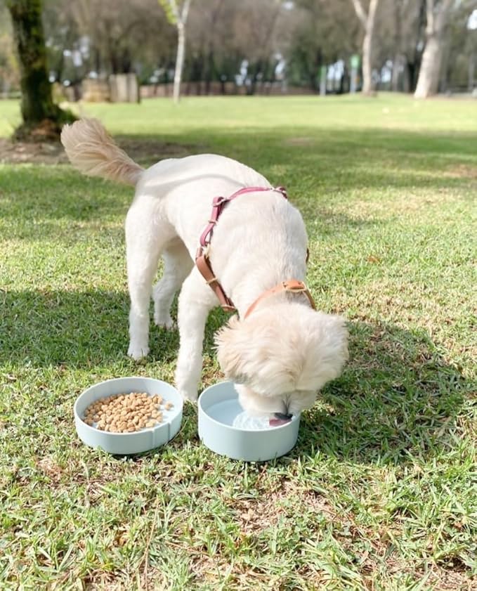 Barkin??Trails Travel Dog Bowls, Portable Outdoor Water, BPA-Free Water Bowl Set, Food Grade Plastic Dog Travel Bowl, Dog Camping Essentials, Travel Container