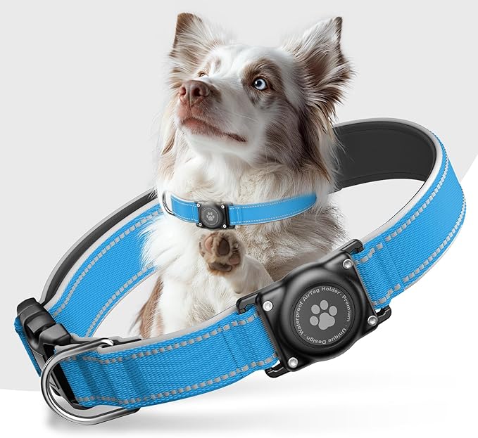 Airtag Dog Collar - 100% Waterproof AirTag Holder, Reflective, Soft Padded, Everlasting GPS Collar for Small to Large Dogs (Blue, M)