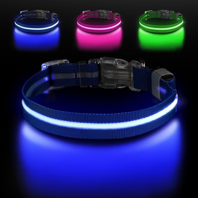Light Up Dog Collar, Adjustable USB Rechargeable Glow in Dark Dog Collar ，Waterproof Dog Collars for Small Dogs (Blue, Small)
