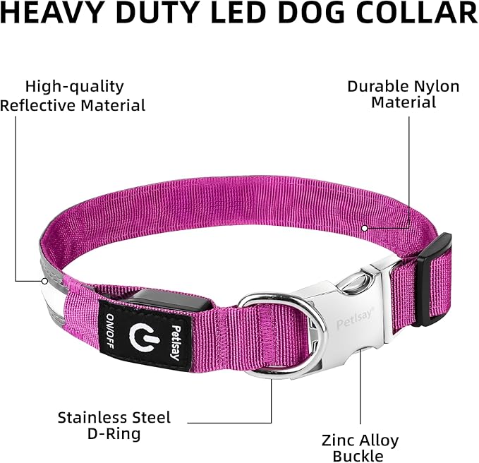 PetIsay LED Dog Collar Metal Buckle - Heavy Duty Light up Collars - Rechargeable IP68 Waterproof - Lighted Dog Collar for Night Walking, Hiking, Camping (Small, Purple)
