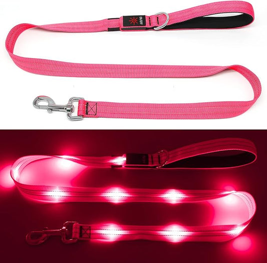4 Ft Led Dog Leash, Rechargeable Light Up Dog Leash Waterproof, Safety Glow in The Dark Dog Leash for Night Walking, Nylon Reflective Leashes with Padded Handle for Small Medium Large Pets