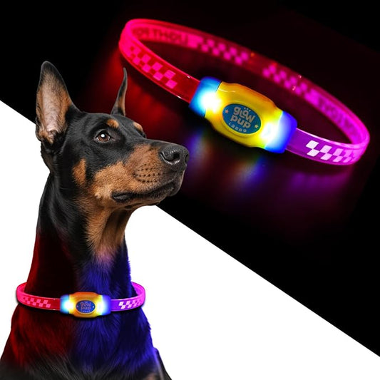 LaRoo LED Light Up Dog Collar, Multi-Color Glowing Safety Pet Collar, Rechargeable Night Visibility Collar, Pet Safety Collar Makes Your Beloved Dogs Be Seen at Night for Small Medium Dogs(Blue)