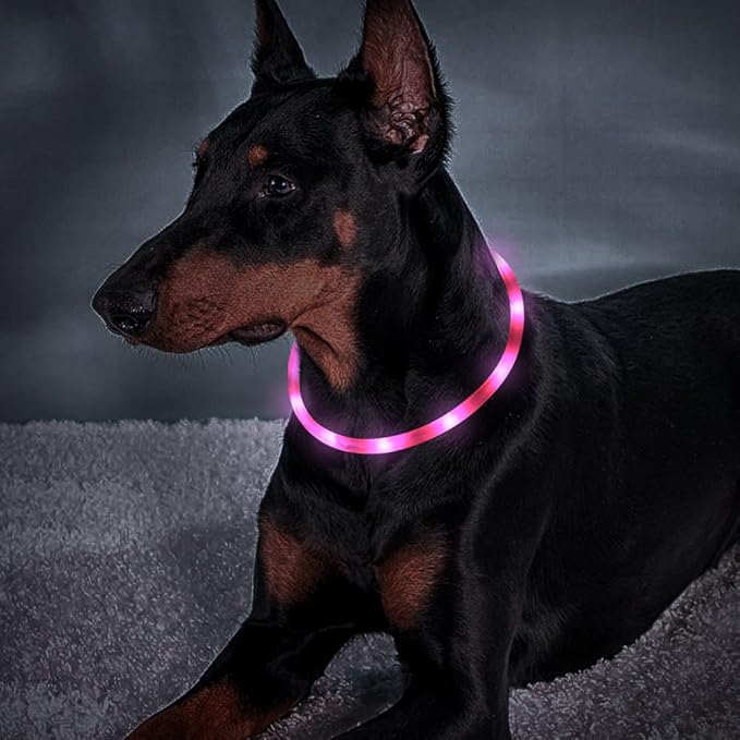 Illumifun LED Dog Collar - USB Rechargeable Light Up Dog Collar Glow in The Dark, Lighted Pet Necklace for Nighttime Walking (Pink-Silicone)