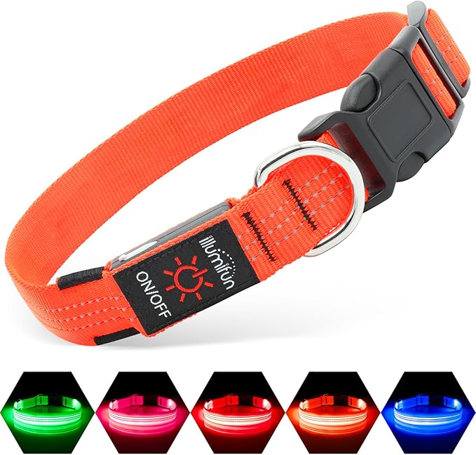 Illumifun Light Up Dog Collar USB Rechargeable LED Dog Collar, Adjustable Blinking Dog Light for Large Dogs (Orange?? Large)