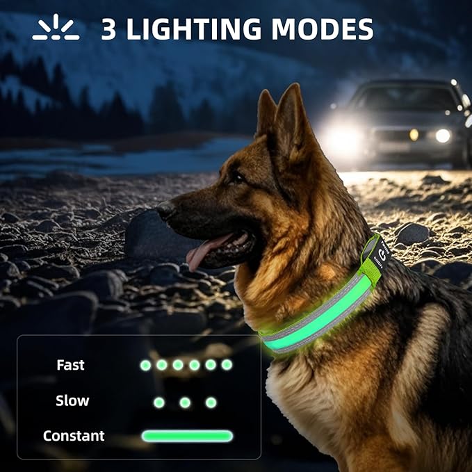PetIsay LED Dog Collar Metal Buckle - Heavy Duty Light up Collars - Rechargeable IP68 Waterproof - Lighted Dog Collar for Night Walking, Hiking, Camping (Small, Green)