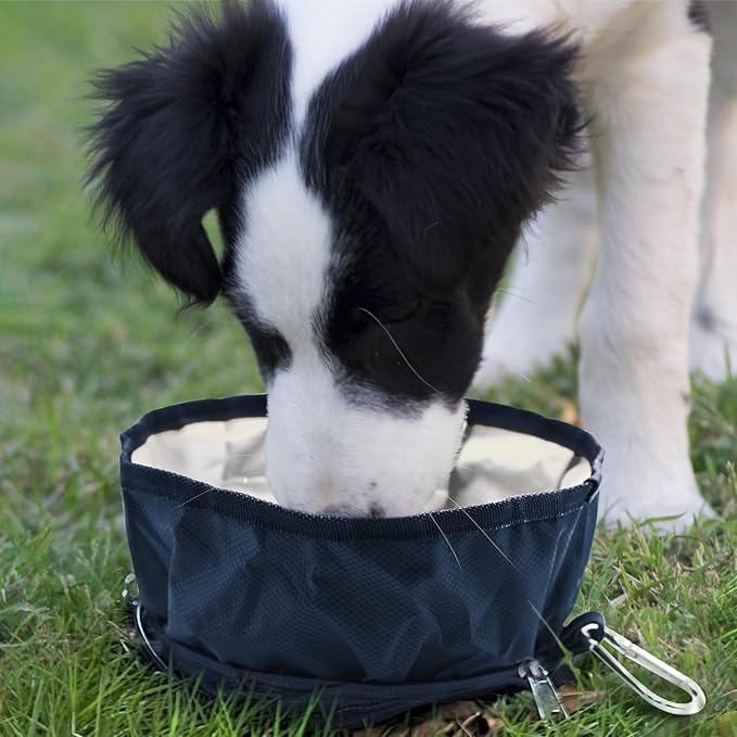 LumoLeaf Collapsible Dog Bowls, Large 68oz/80oz Lightweight Foldable Travel Bowl 10 Cups, Portable Water and Food Bowls for Pets Dogs with Zipper (White)