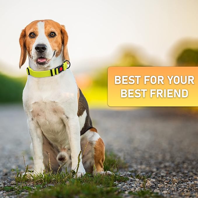 Adjustable Dog Collar with QR Code Dog Tag ID Attached - Made in USA - Honeycomb Waterproof Heavy Duty Dog Collar with Safe Lock Buckle - Odor Proof Pet Collar for Dogs with Strong Zinc D Ring