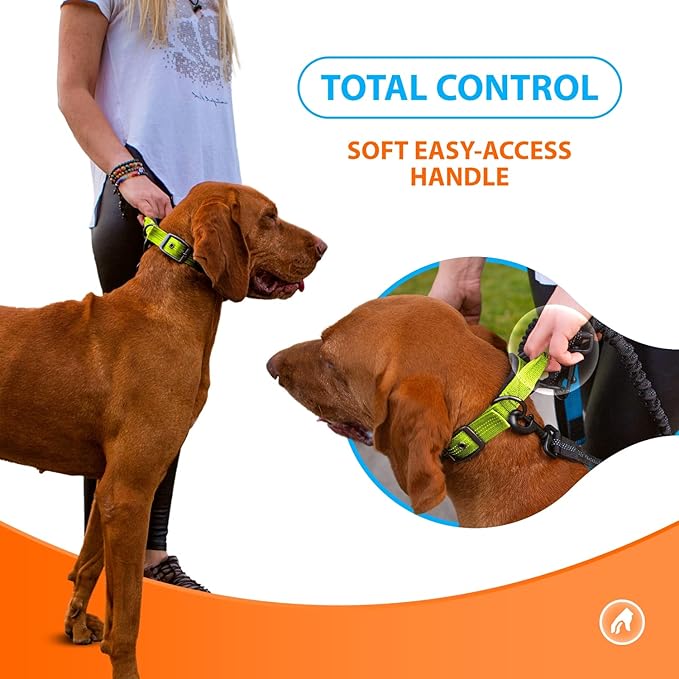 SparklyPets Heavy Duty Dog Collar with Handle for Medium and Large Dogs ??Professional Collar with Reflective Stitches, Soft Handle & Nickel-Plated Buckle (Large (18"~22"), Green)