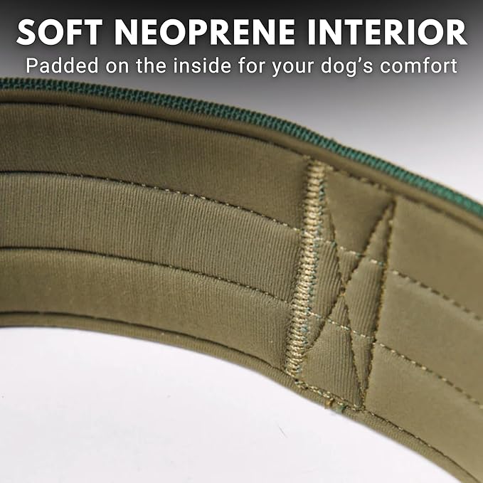 Spark Paws Tactical Dog Collar - Heavy Duty, Premium Quality, Thick and Durable for Large and Medium Dogs - Solid Green - L - 1.5"