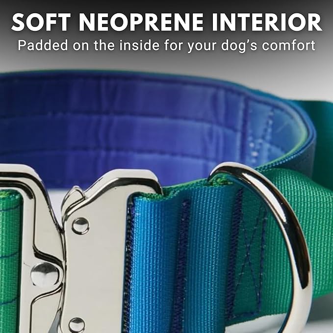 Spark Paws Tactical Dog Collar - Heavy Duty, Premium Quality, Thick and Durable for Large and Medium Dogs - Lime Wave - S
