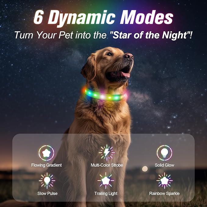 LED Dog Collar, Light Up Dog Collar, USB Rechargeable - Brightest Dog Lights for Night Walking, 6 Light Modes, Adjustable for Dog Safety(Large, Neon Green)