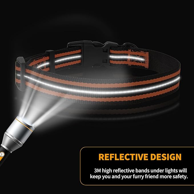 Mile High Life Reflective Dog Collar | Nylon Pet Collars wiith Buckle | Light Weight Puppy Collars | Orange Dog Collars for Large Dogs (Orange, L)